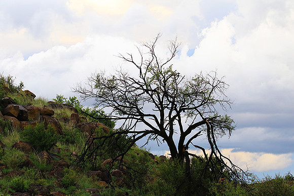 Sunset at Tiger Canyon - Karoo