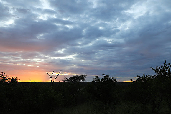 Sunset at Mala Mala