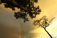 Sunset - Sabi Sand