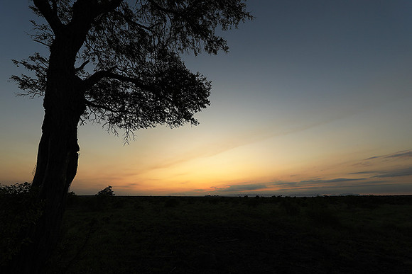 Sunset - Sabi Sand