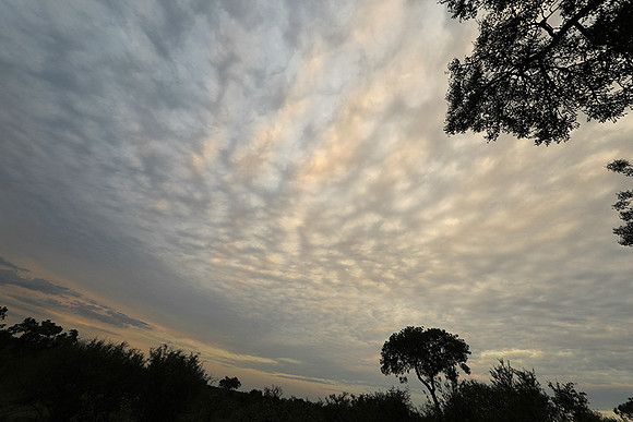 Sunset - Lion Sands