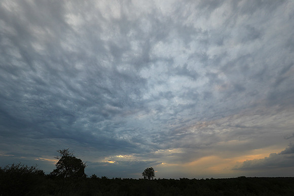 Sunset - Lion Sands