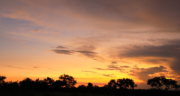 Sunset - Londolozi game reserve