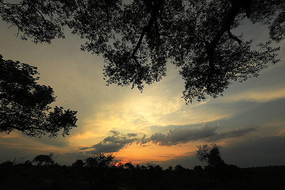 Sunset - Lion Sands