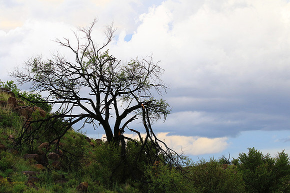 Sunset at Tiger Canyon - Karoo