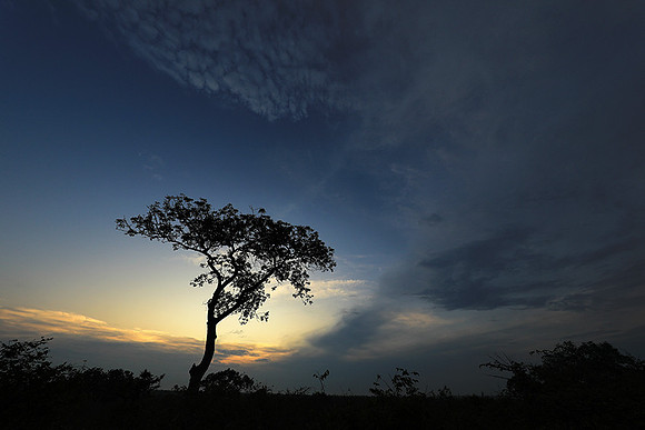 Sunset - Lion Sands
