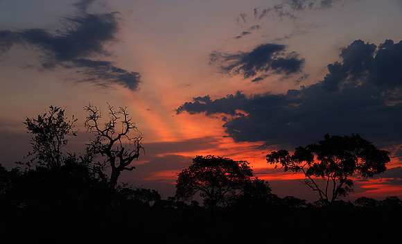 Sunset - Lion Sands