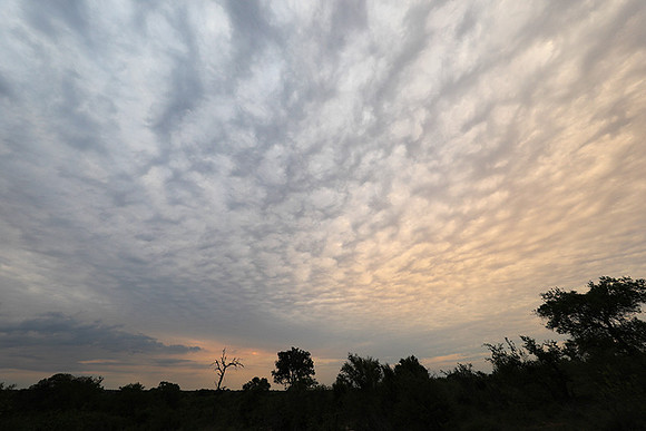 Sunset - Lion Sands