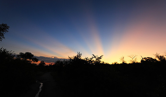 Sunset at Mala Mala