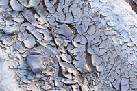 Dry mud in the river bed - Namibia