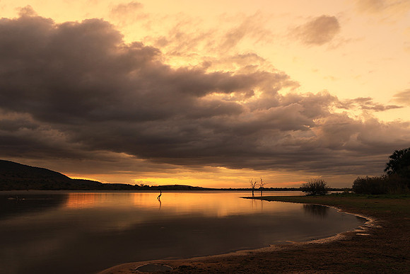 Sunset - Zelous