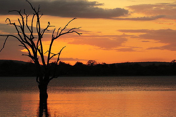 Sunset - Zelous