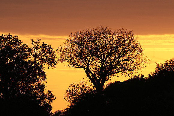 Sunset - Zelous