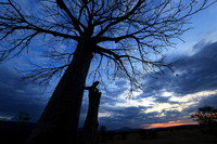 Sunset - Zelous