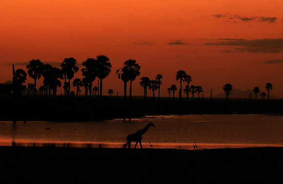 Sunset - Zelous