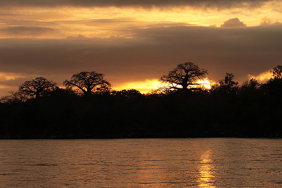 Sunset - Zelous