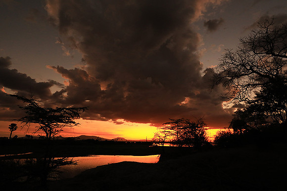 Sunset - Zelous
