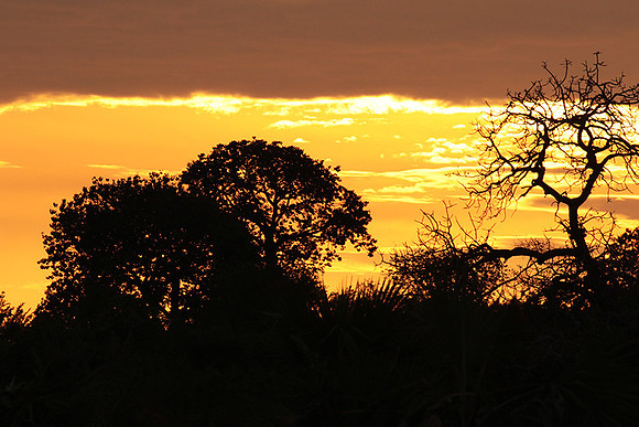 Sunset - Zelous