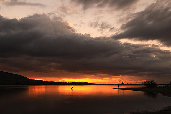 Sunset - Zelous