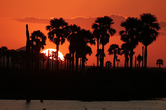 Sunset - Zelous