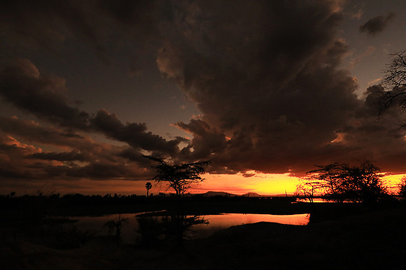 Sunset - Zelous
