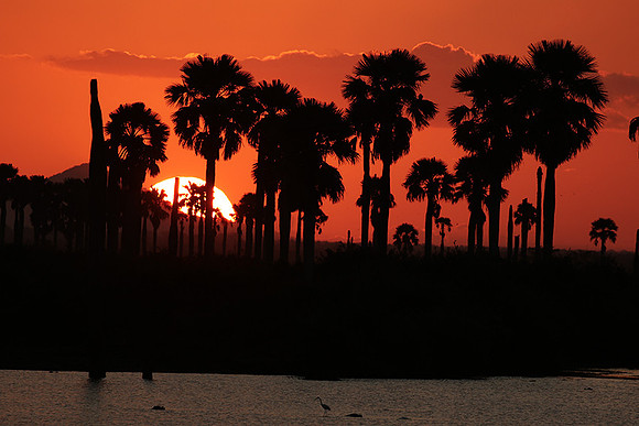 Sunset - Zelous
