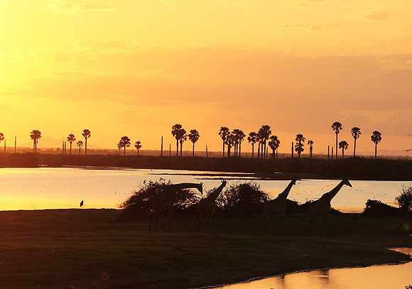 Sunset - Zelous