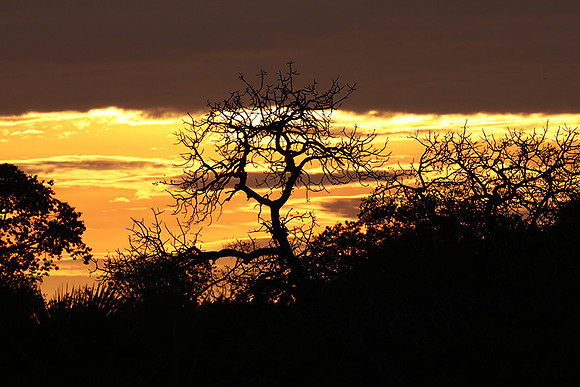 Sunset - Zelous