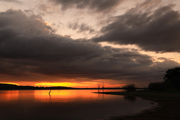 Sunset - Zelous