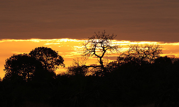 Sunset - Zelous