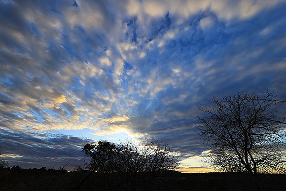 Sunset - Zelous