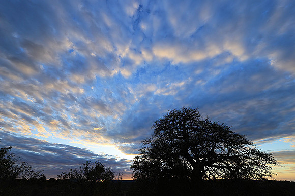 Sunset - Zelous