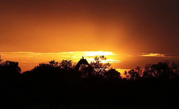 Sunset - Zelous