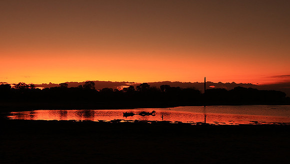 Sunset - Zelous