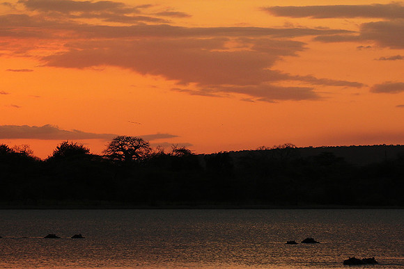 Sunset - Zelous