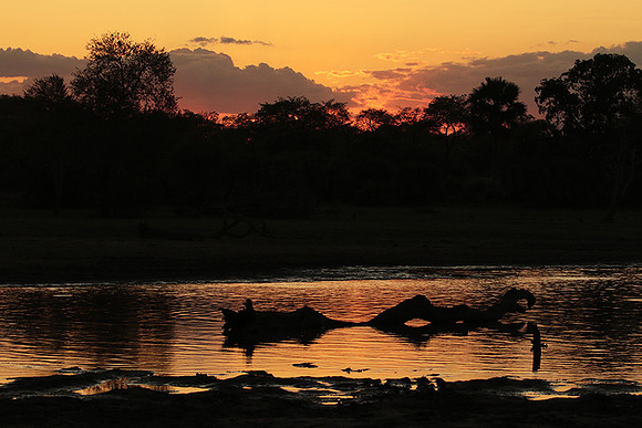 Sunset - Zelous