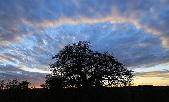Sunset - Zelous