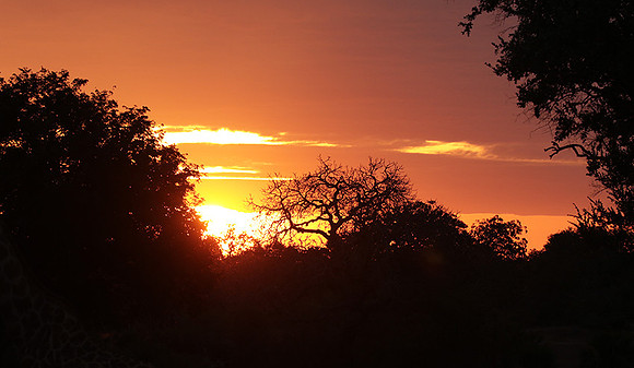 Sunset - Zelous