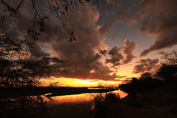 Sunset - Zelous