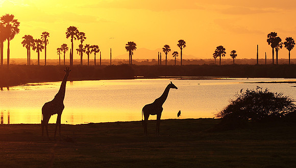 Sunset - Zelous