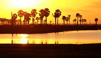 Sunset - Zelous