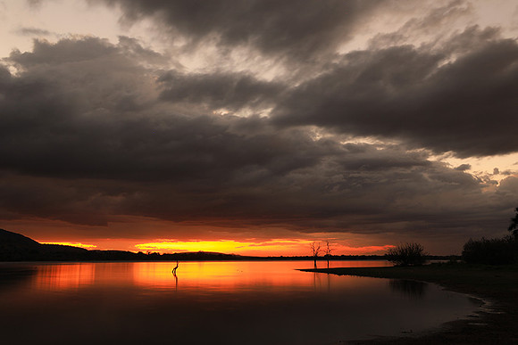 Sunset - Zelous