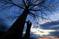 Sunset - Zelous