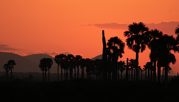 Sunset - Zelous