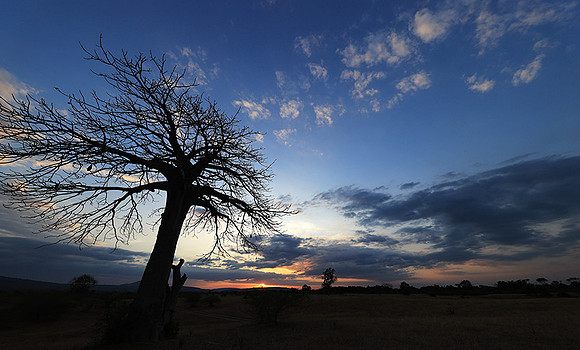 Sunset - Zelous