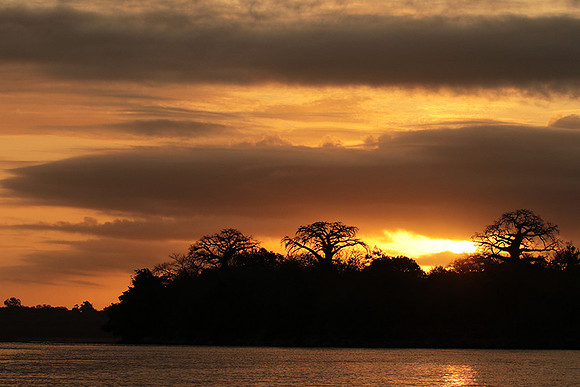 Sunset - Zelous
