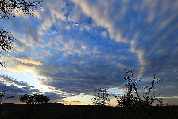 Sunset - Zelous