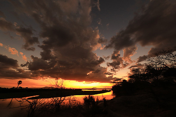 Sunset - Zelous