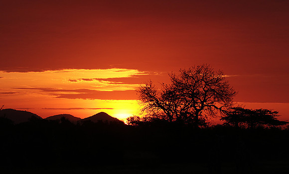 Sunset - Zelous