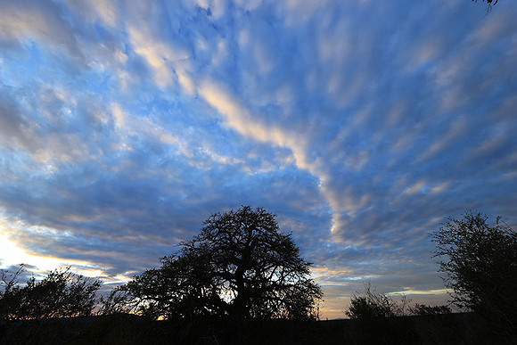 Sunset - Zelous